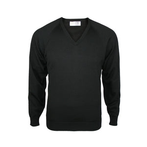 Lightweight Merino V-neck Sweater